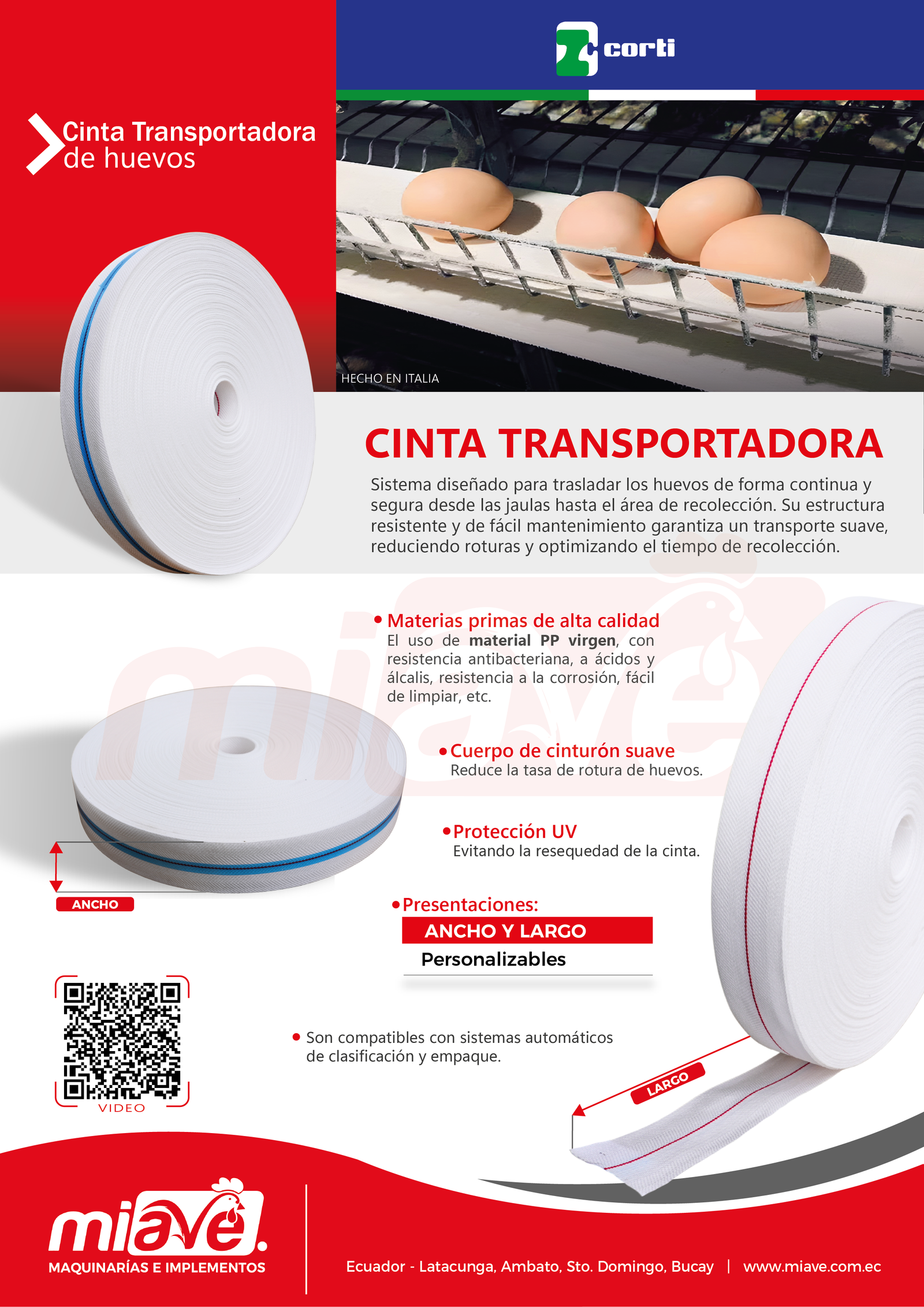 FT   Cinta de huevos CORTI Mesa de trabajo 1